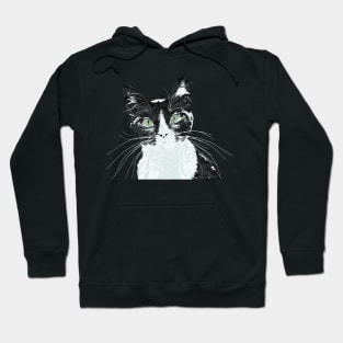 Happier Cat Hoodie